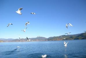 Garze Kangding Lake & Mountain